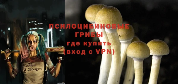 эйфоретик Армянск