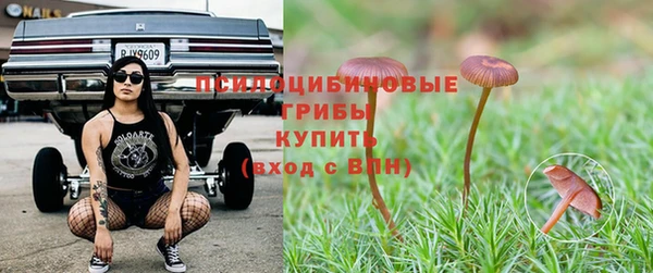 СК Балахна