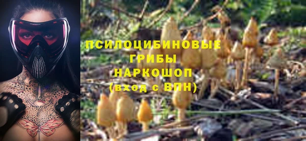 СК Балахна