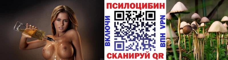 Псилоцибиновые грибы прущие грибы  Ивангород 