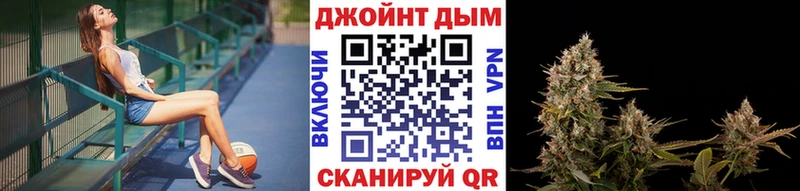 Конопля гибрид  Ивангород 